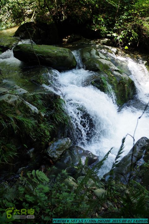 20150801-宛田乡楠木峡谷-观音田IMGP8783