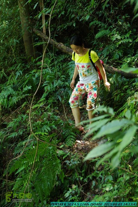 20150801-宛田乡楠木峡谷-观音田IMGP8791