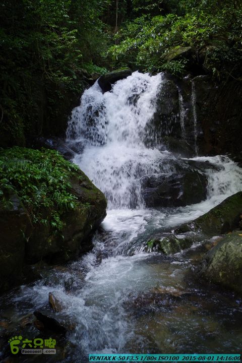 20150801-宛田乡楠木峡谷-观音田IMGP8797