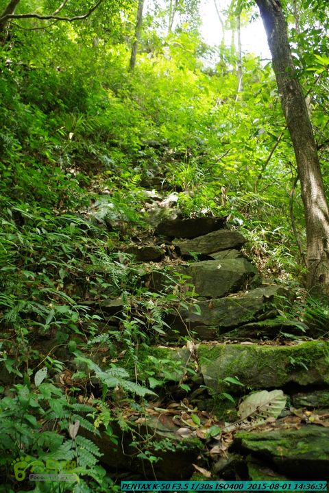 20150801-宛田乡楠木峡谷-观音田IMGP8820