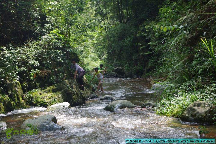 20150801-宛田乡楠木峡谷-观音田IMGP8823