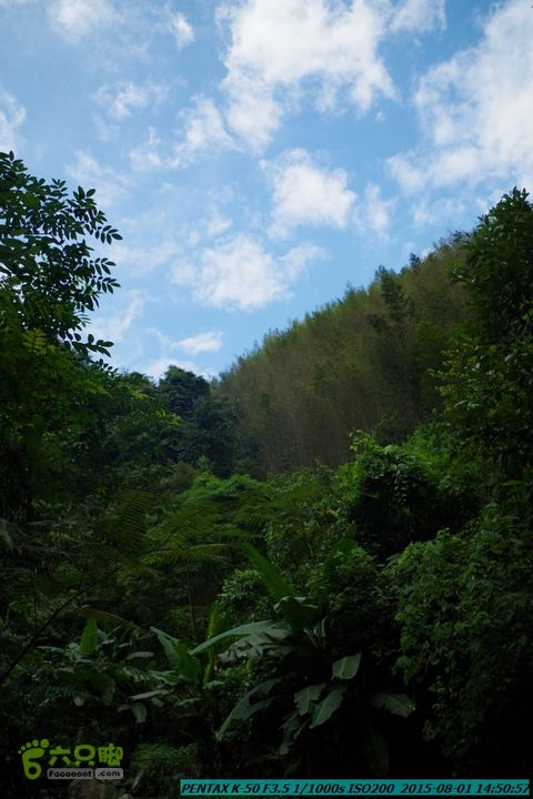 20150801-宛田乡楠木峡谷-观音田IMGP8827