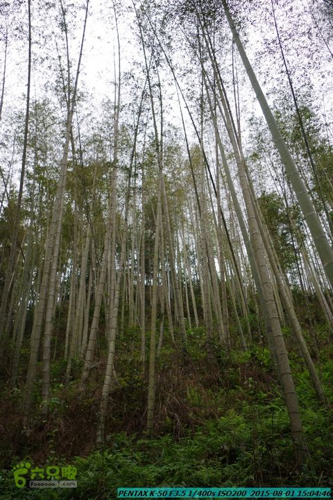 20150801-宛田乡楠木峡谷-观音田IMGP8829