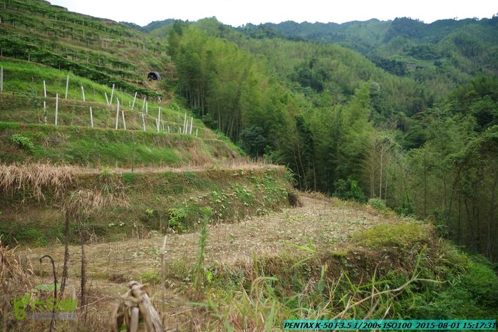 20150801-宛田乡楠木峡谷-观音田IMGP8833