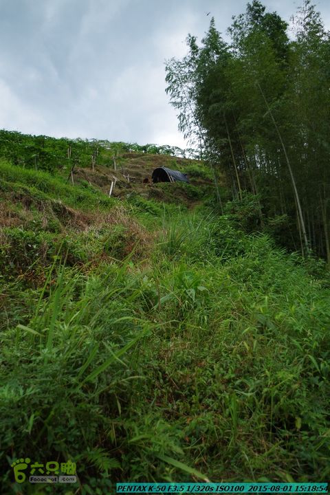20150801-宛田乡楠木峡谷-观音田IMGP8834