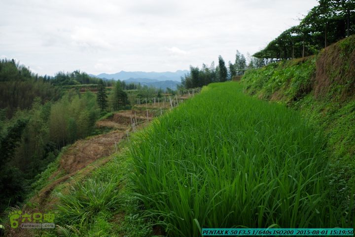 20150801-宛田乡楠木峡谷-观音田IMGP8835