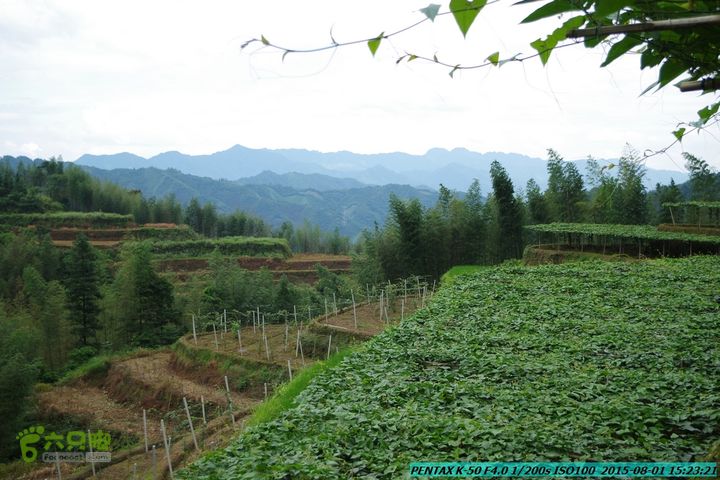 20150801-宛田乡楠木峡谷-观音田IMGP8844