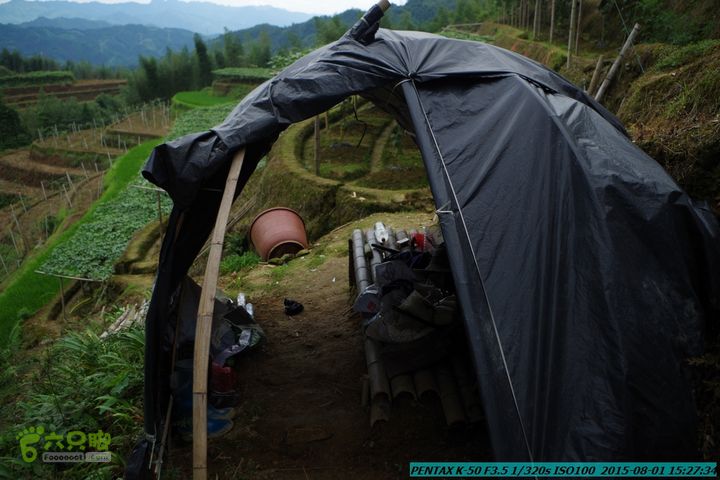 20150801-宛田乡楠木峡谷-观音田IMGP8853