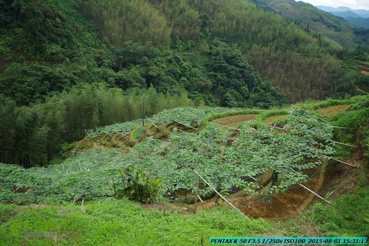 20150801-宛田乡楠木峡谷-观音田IMGP8857