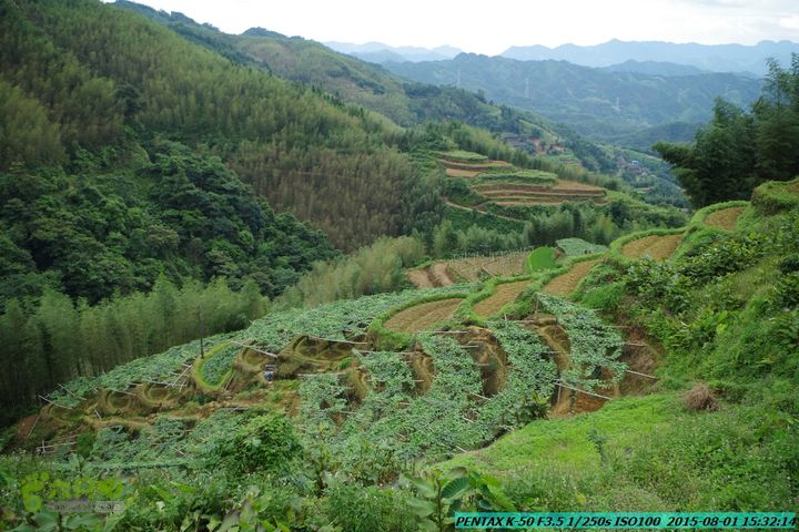 20150801-宛田乡楠木峡谷-观音田IMGP8859