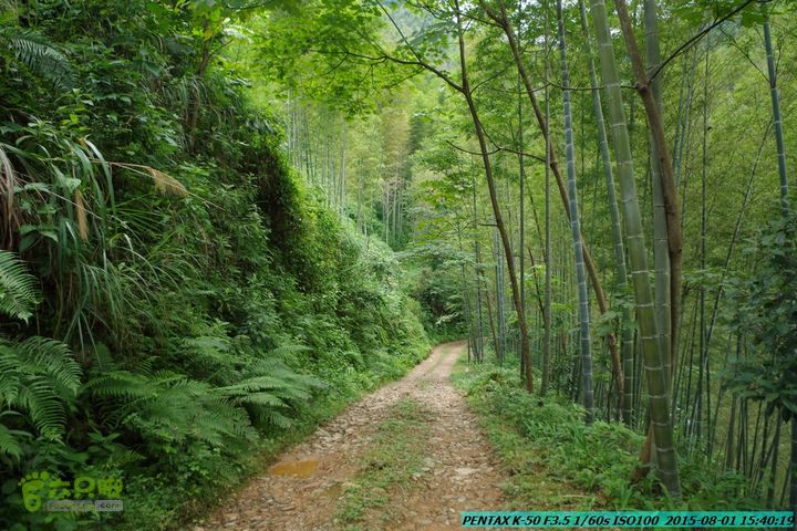 20150801-宛田乡楠木峡谷-观音田IMGP8872