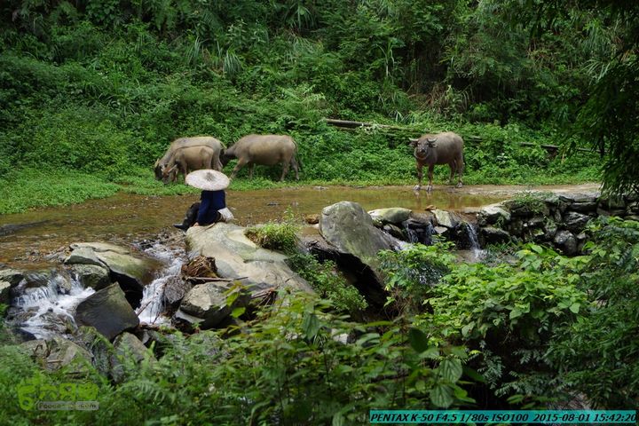 20150801-宛田乡楠木峡谷-观音田IMGP8875