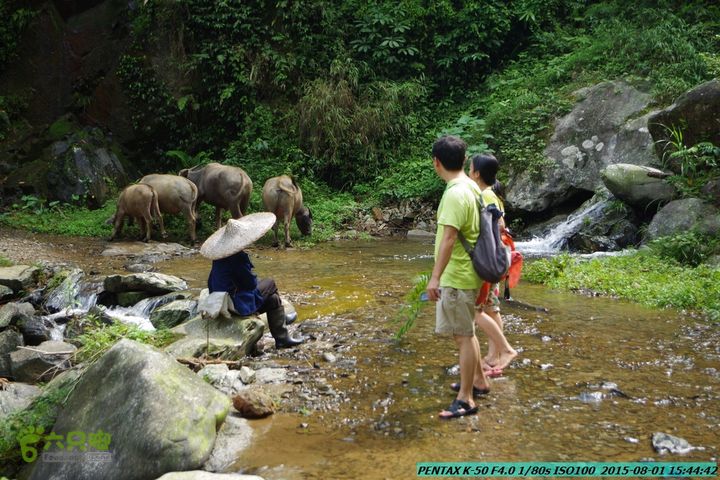 20150801-宛田乡楠木峡谷-观音田IMGP8879