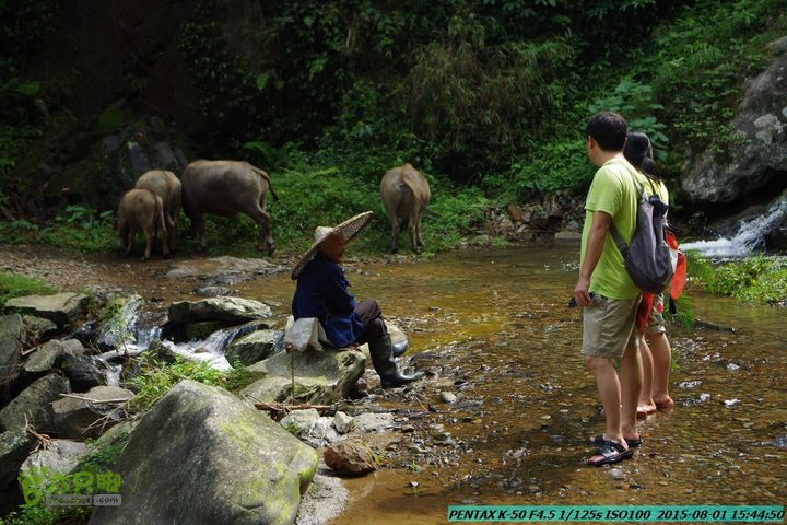 20150801-宛田乡楠木峡谷-观音田IMGP8880