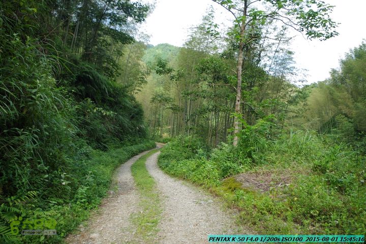 20150801-宛田乡楠木峡谷-观音田IMGP8881