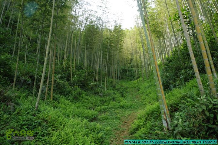 20150801-宛田乡楠木峡谷-观音田IMGP8882