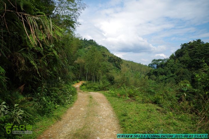 20150801-宛田乡楠木峡谷-观音田IMGP8883