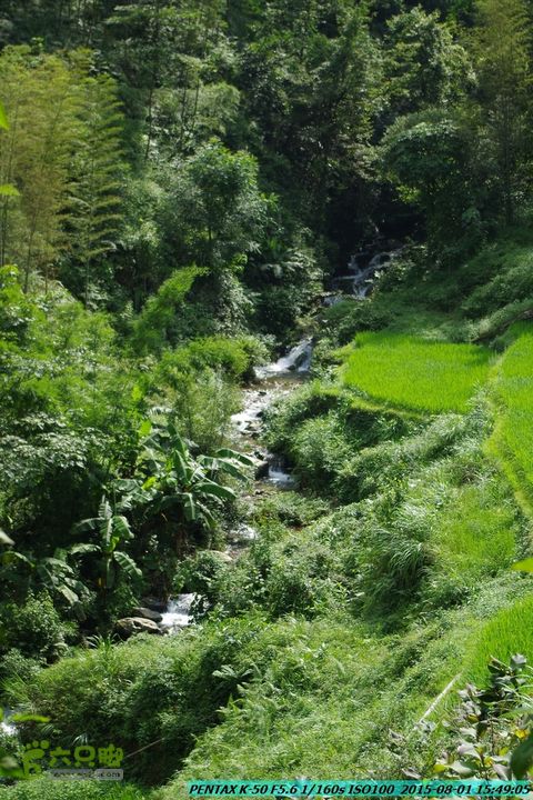 20150801-宛田乡楠木峡谷-观音田IMGP8885