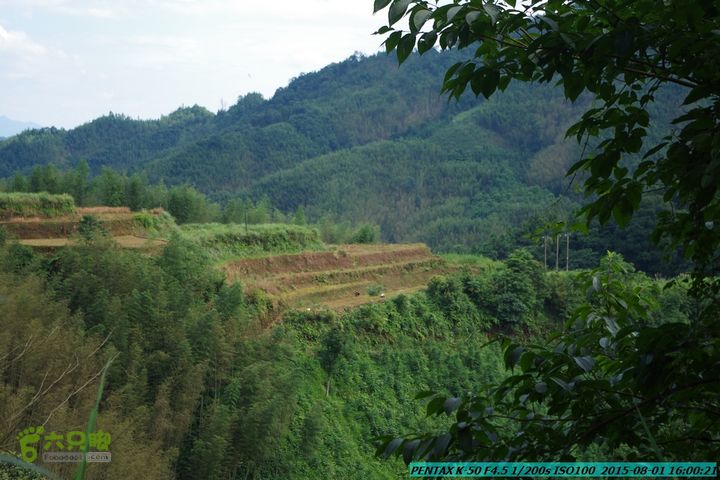 20150801-宛田乡楠木峡谷-观音田IMGP8886