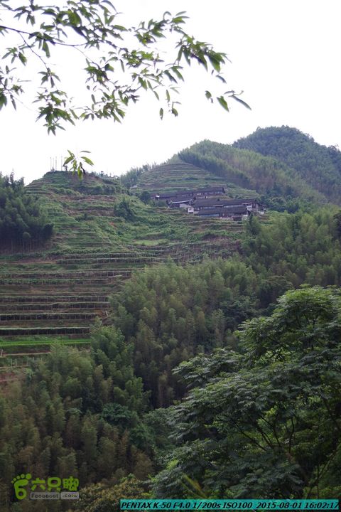 20150801-宛田乡楠木峡谷-观音田IMGP8888