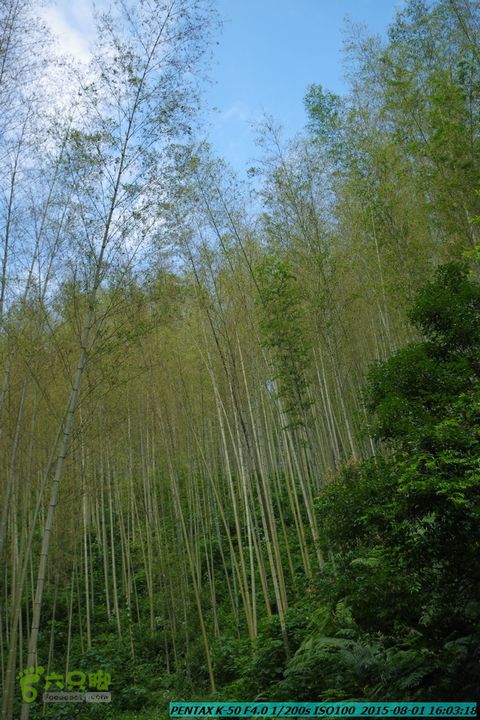 20150801-宛田乡楠木峡谷-观音田IMGP8890