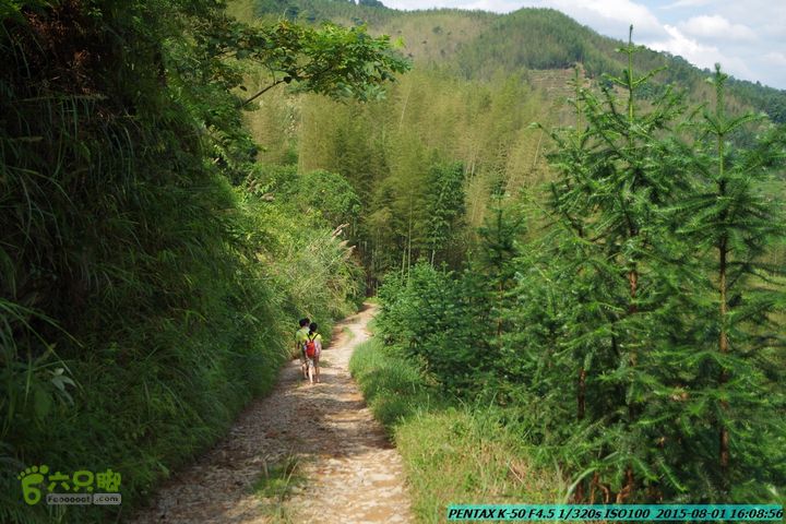 20150801-宛田乡楠木峡谷-观音田IMGP8893