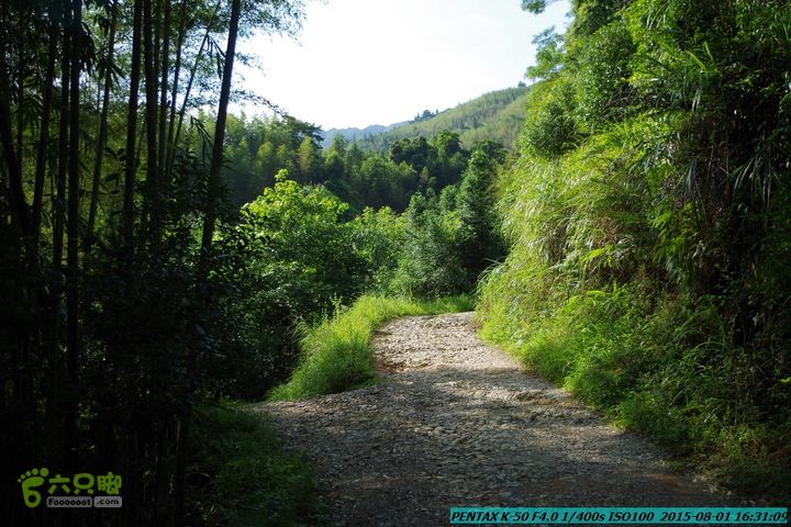 20150801-宛田乡楠木峡谷-观音田IMGP8896