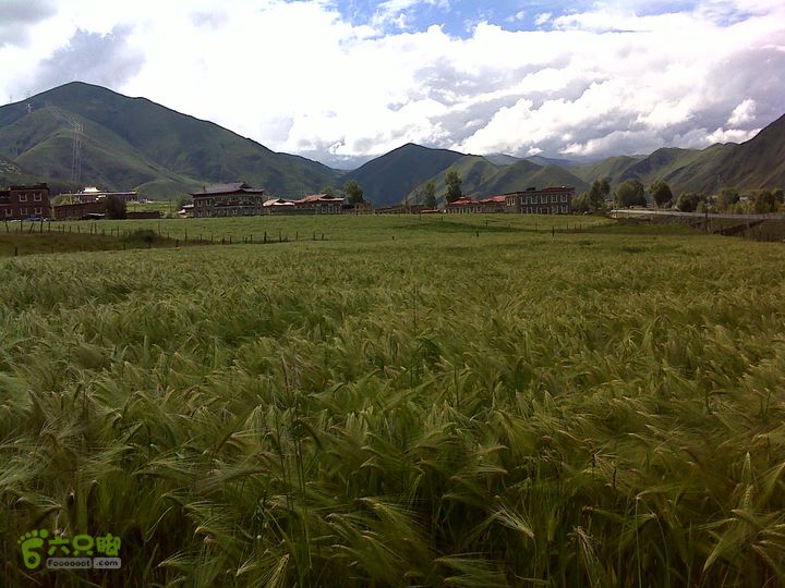 穿越318川藏线入西藏DSC04461