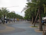 IMG_0231