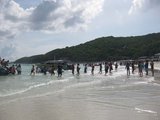 IMG_0336