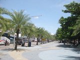 IMG_0404