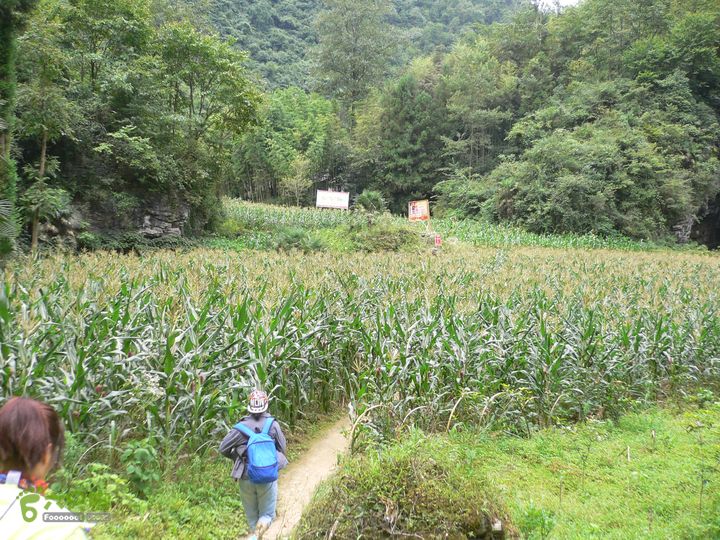 利川清江古河床P1190265