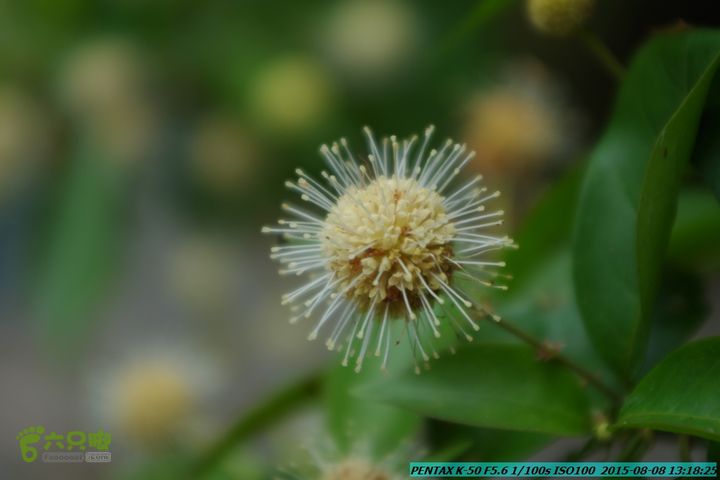 20150808-东灵峡谷(下段)IMGP8973