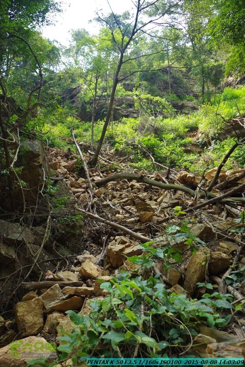 20150808-东灵峡谷(下段)IMGP9023