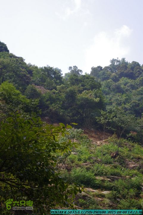 20150808-东灵峡谷(下段)IMGP9033