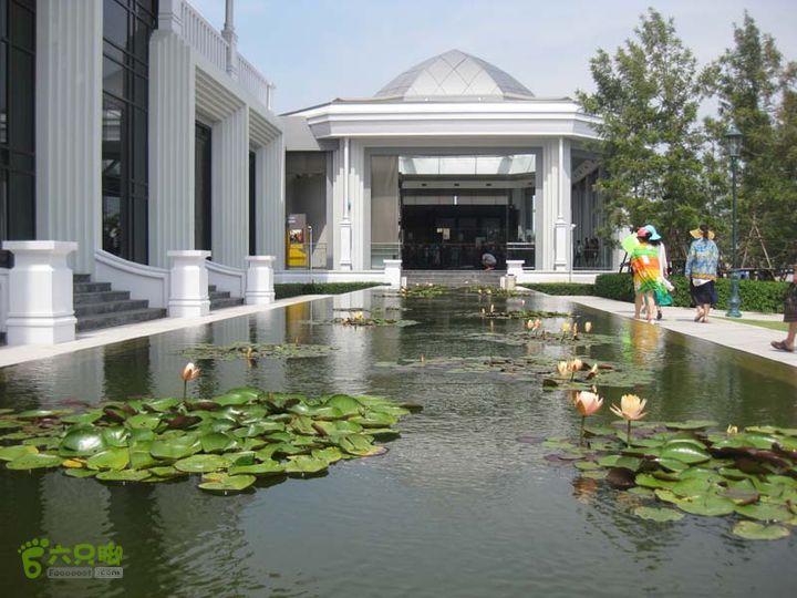 2015-7-25-4树发它水果园-毒蛇研究中心IMG_0479