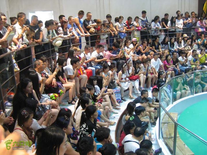 2015-7-25-4树发它水果园-毒蛇研究中心IMG_0489