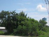 IMG_0446