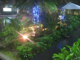 IMG_0510