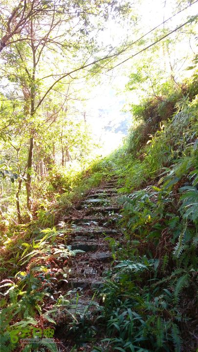 岭山古道IMAG4326