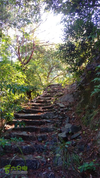 岭山古道IMAG4330