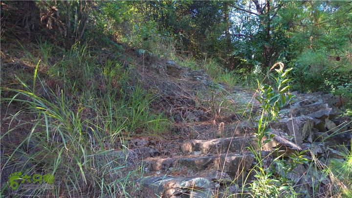 岭山古道IMAG4331