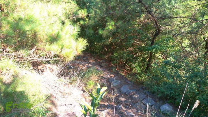 岭山古道IMAG4332