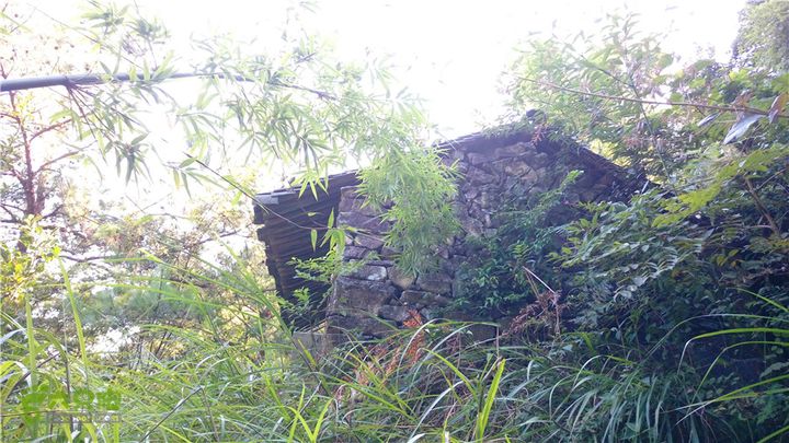 岭山古道IMAG4333