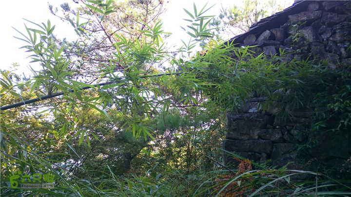 岭山古道IMAG4335