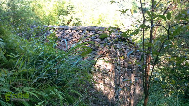 岭山古道IMAG4337