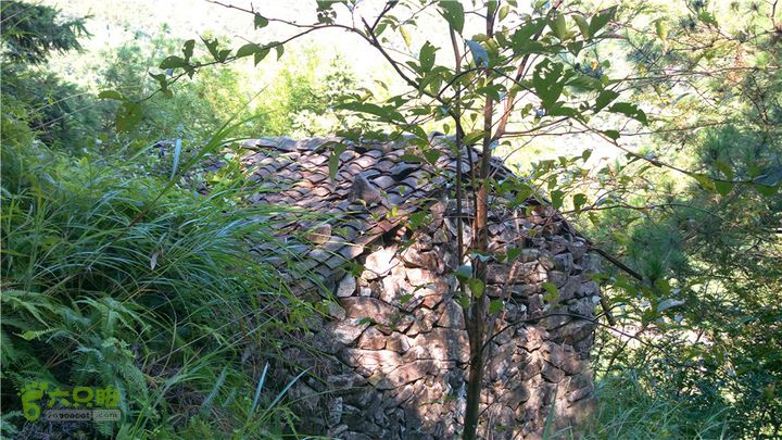 岭山古道IMAG4338