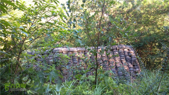 岭山古道IMAG4339