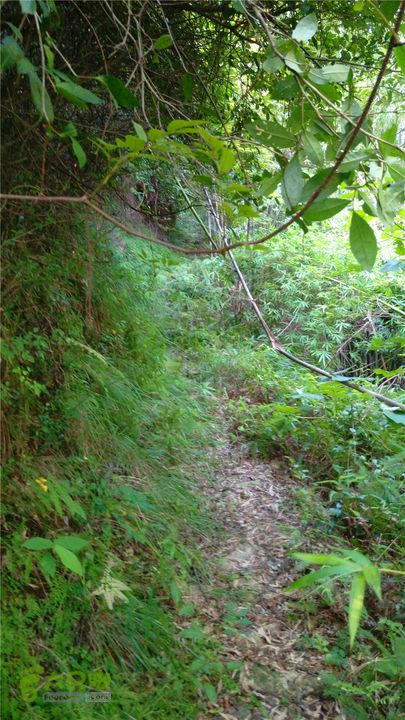 岭山古道IMAG4345