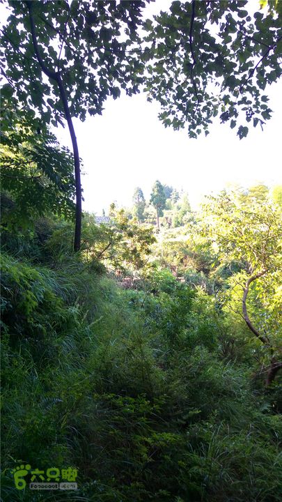 岭山古道IMAG4348